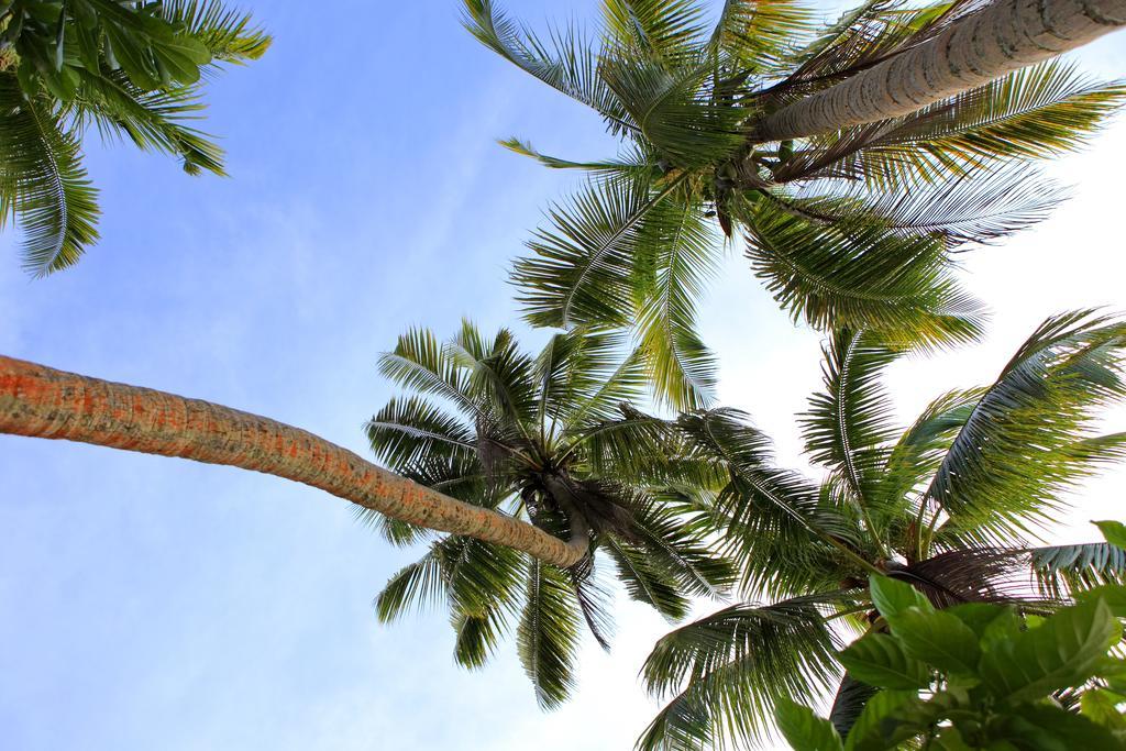 โทเบรัวไอซ์แลนด์รีสอร์ท Toberua Island ภายนอก รูปภาพ